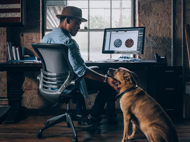 Comprehensive Coverage from Grade 9 to 12: